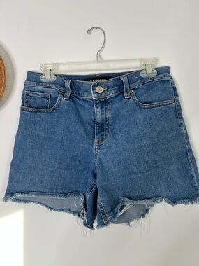Express Blue Denim Frayed Hem Shorts Size 8